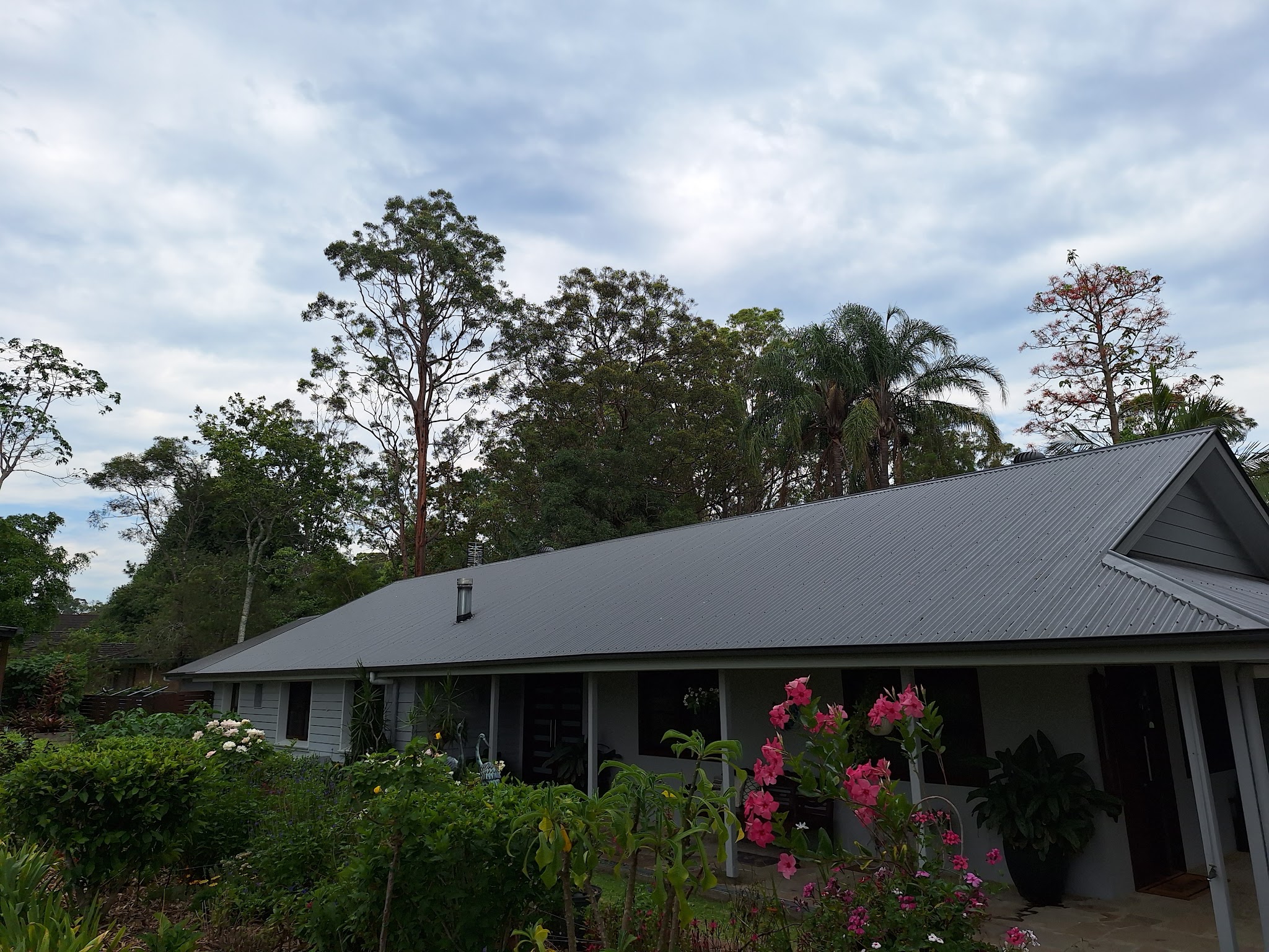 A long single-storey acreage home with a dark corrugated metal roof and gutters, framed by tall gum trees